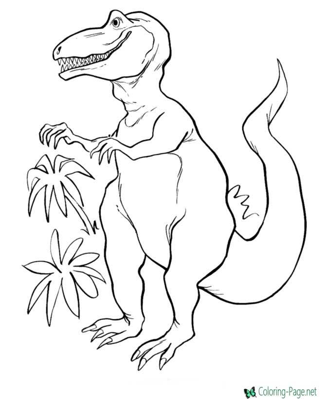 dinosaur coloring picture