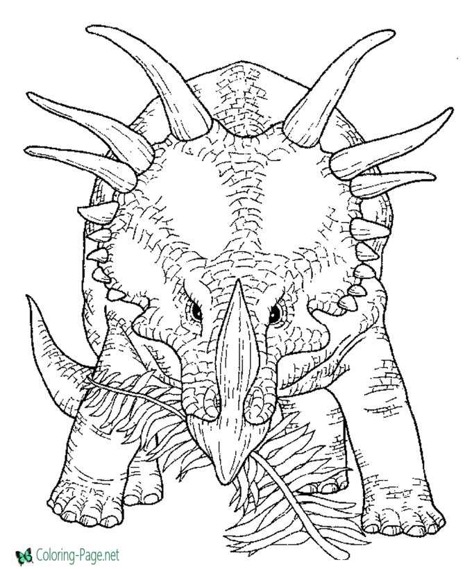 Dinosaurs Coloring Pages triceratops