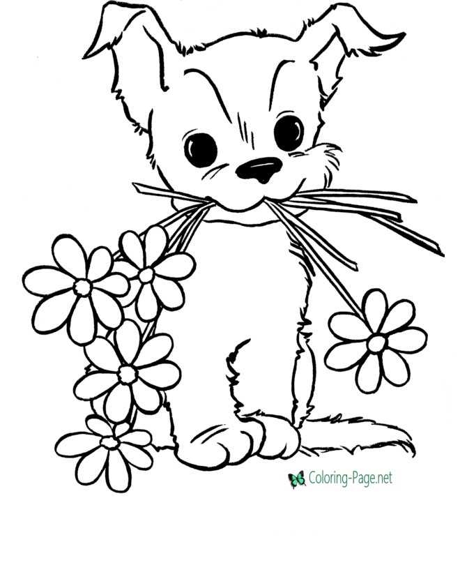 Puppy and Flower Coloring Pages