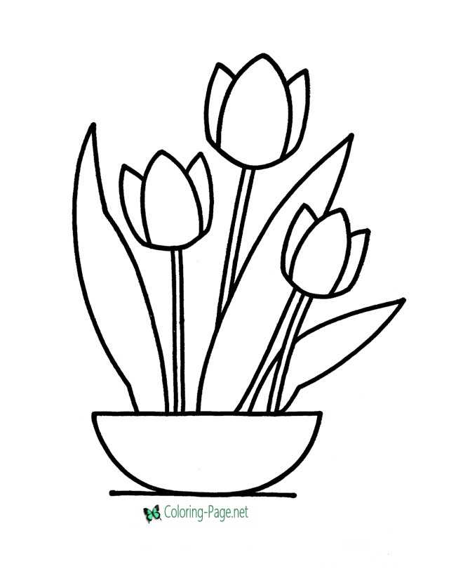 Flower Coloring Pages Tulips in Bowl