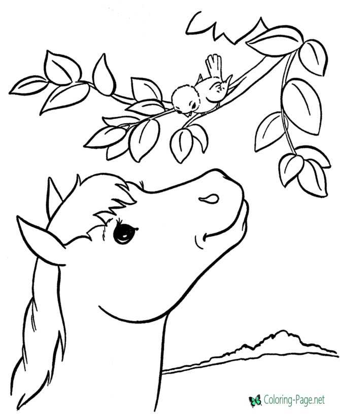 Horse Coloring Pages Christmas