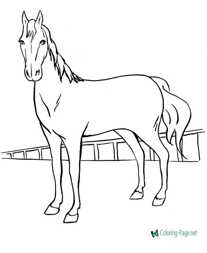 Printable Race Horse Coloring Pages