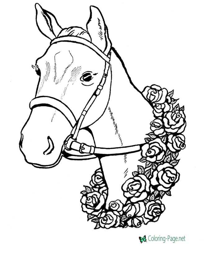 winner horse page to color