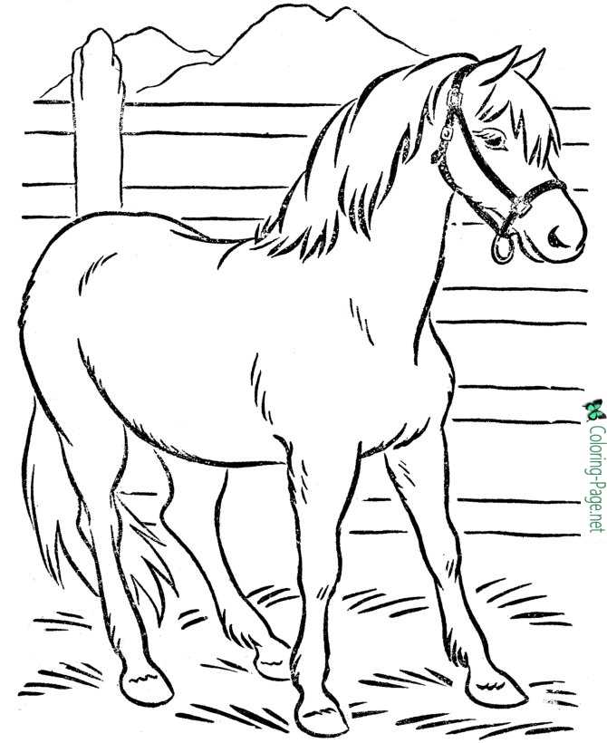 farm horse to print and color