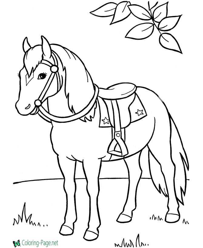 saddle horse coloring page