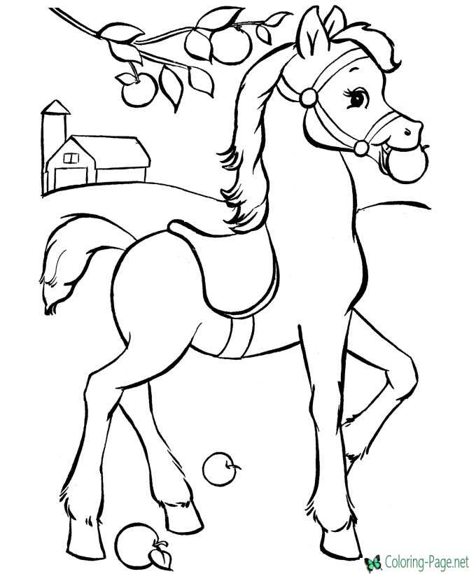 Horse Coloring Pages Apple Treat