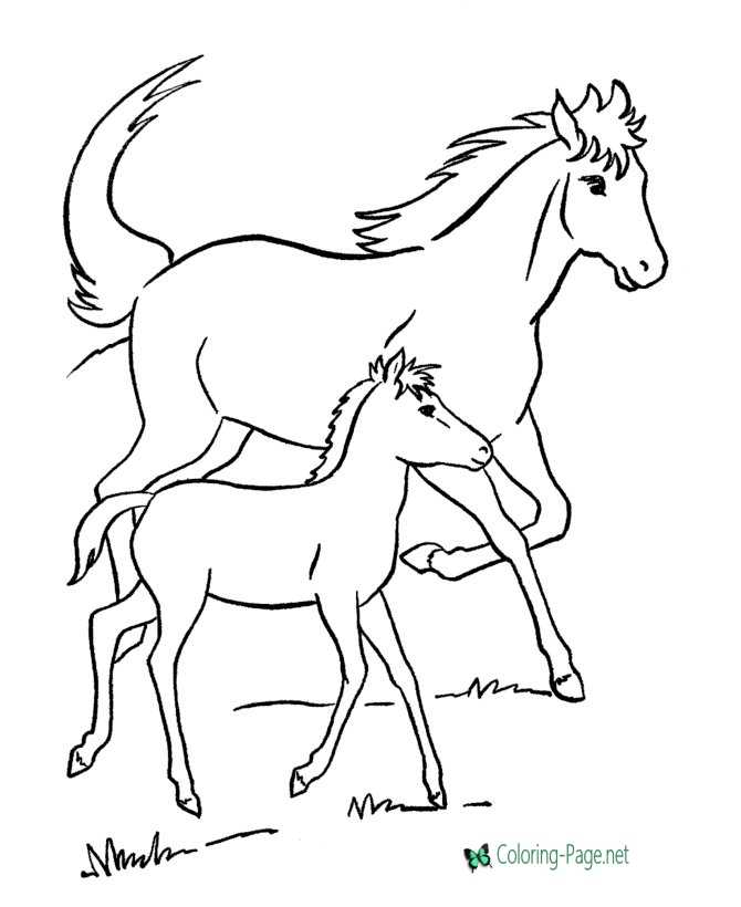 Horse Coloring Pages Mare and Colt