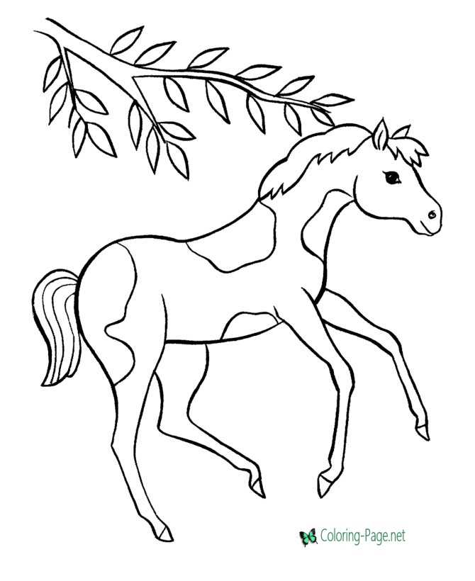 Horse Coloring Pages Prancing Pinto