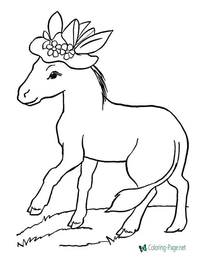 Horse Coloring Pages Donkey Hat