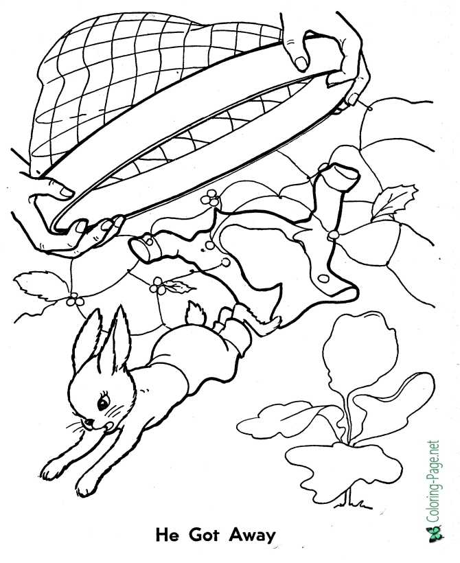 printable Peter Rabbit coloring page - He gets away!
