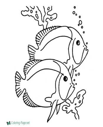 Fish - nature coloring pages