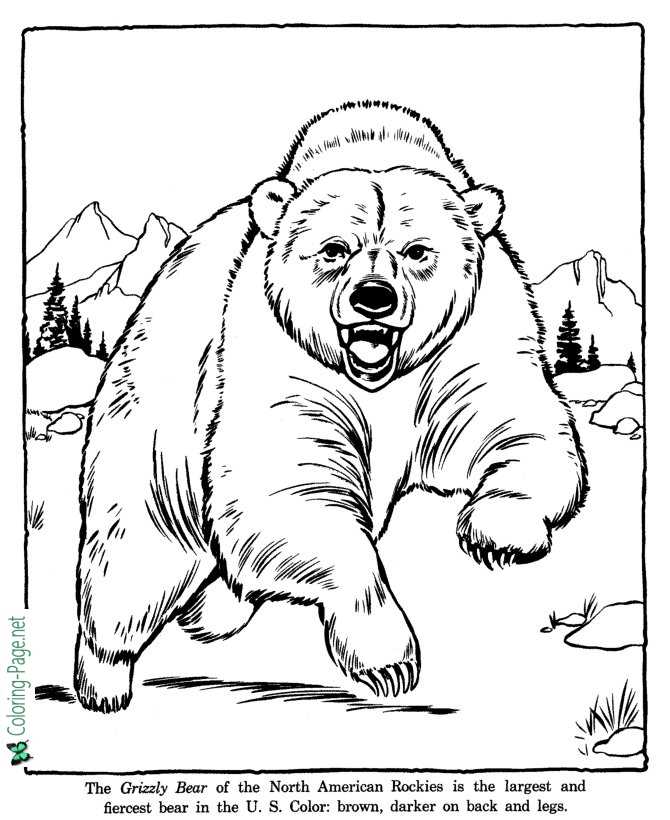 Grizzly Bear Coloring Pages Zoo