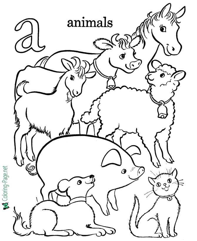 alphabet animals drawing for kids