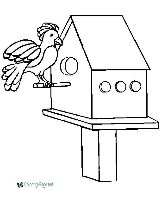 coloring pages of birds nests