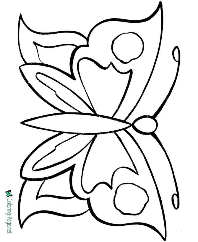 Featured image of post Simple Butterfly Colouring Images