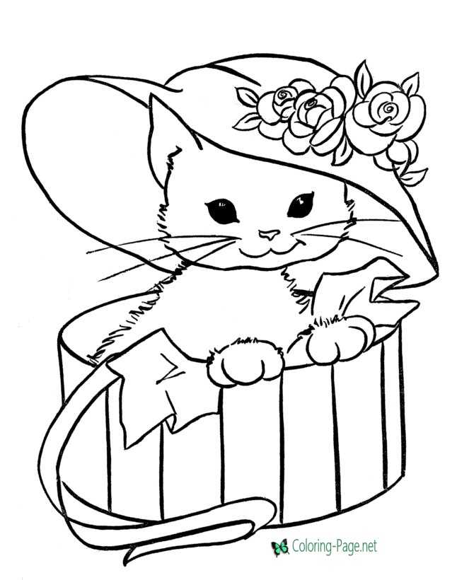 Download Printable Coloring Pages For Kids Cat Drawing With Crayons