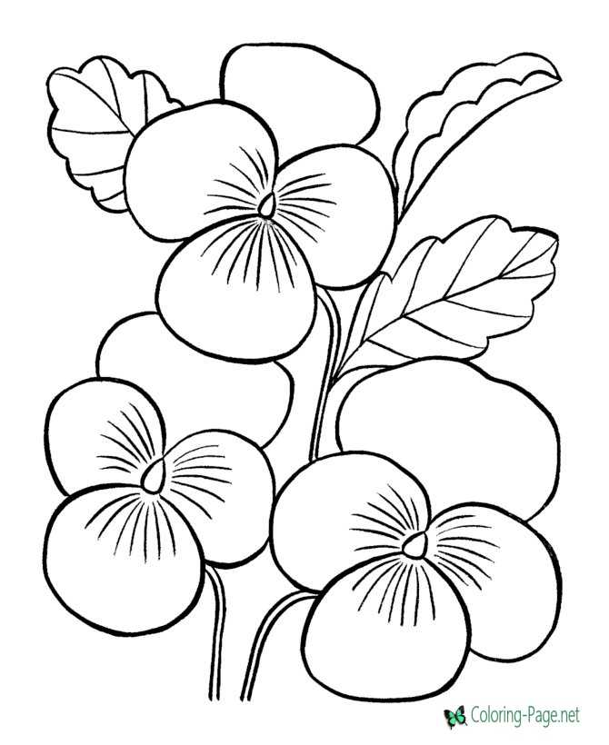 may flowers coloring pages