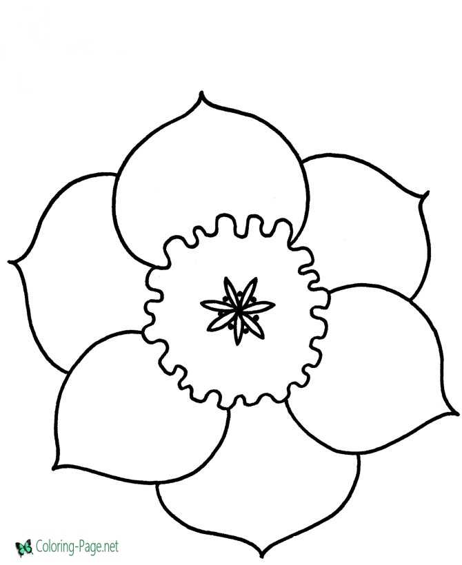 Download Preschool Flower Coloring Pages