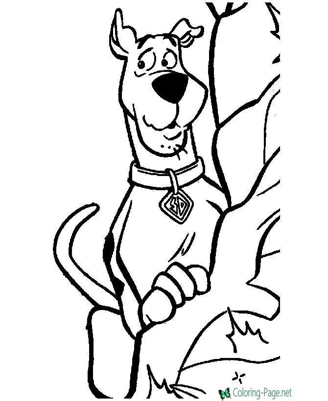 shaggy scooby doo coloring pages