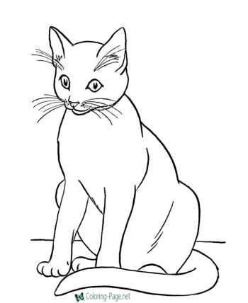 coloring pages of animals online