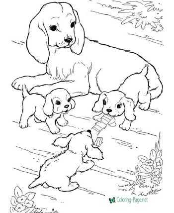 pet animals coloring pages