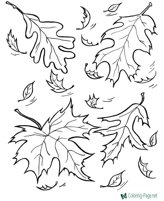 Download Tree Leaves Coloring Pages