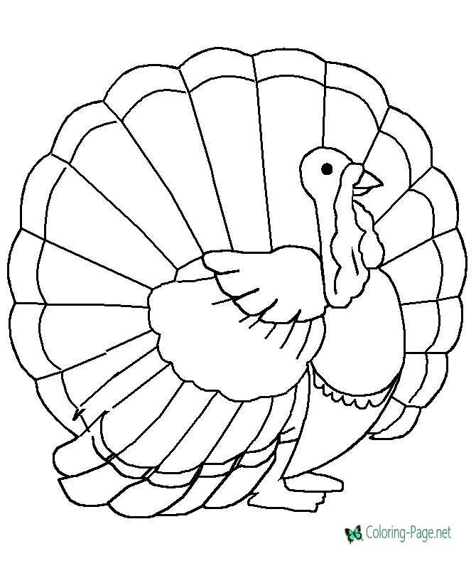 wild-turkey-coloring-pages