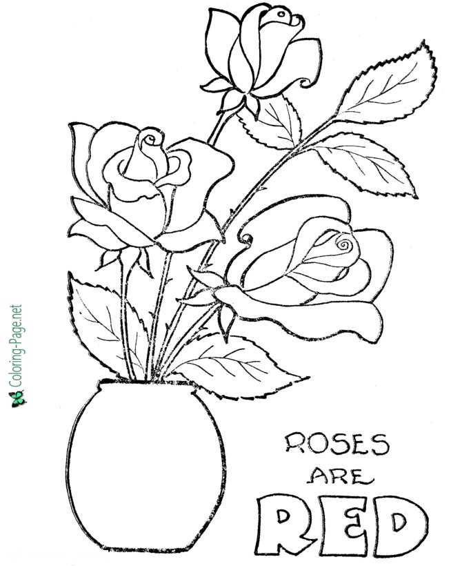 Valentine rose color page