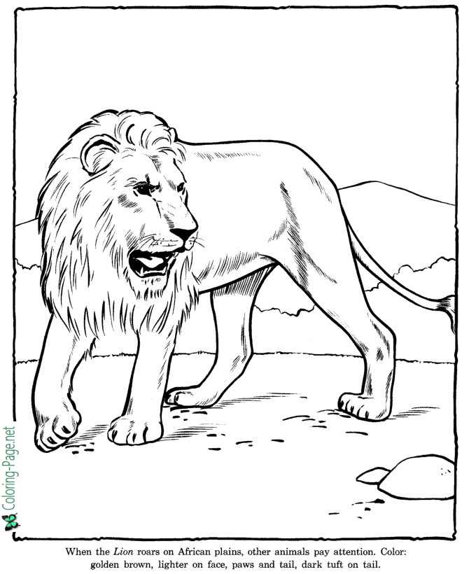 Download Zoo Coloring Pages